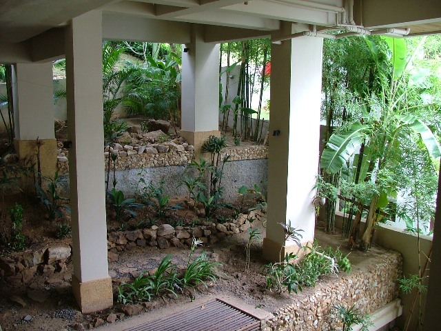 Kayjon Villa, Samui, planting under villa